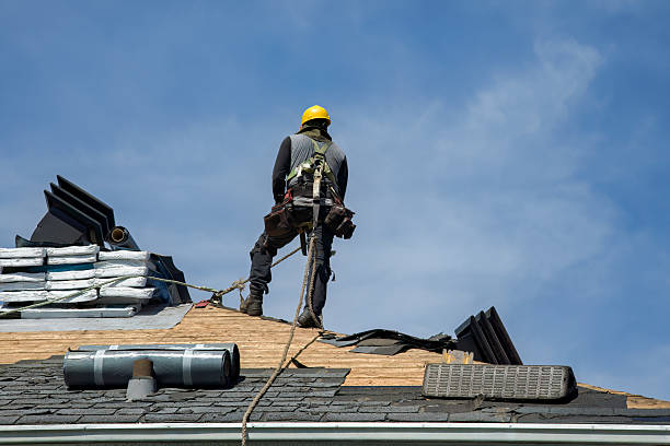 Professional Gutter Installation technician working in Thomson, IL
